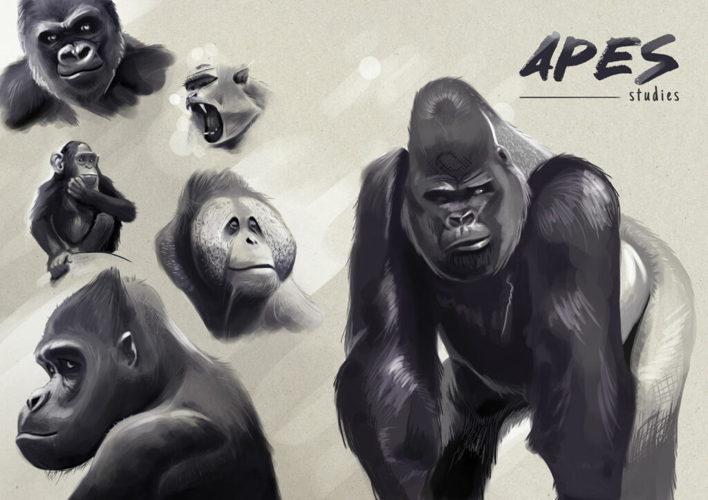 Études de différentes races de singes dans différentes positions